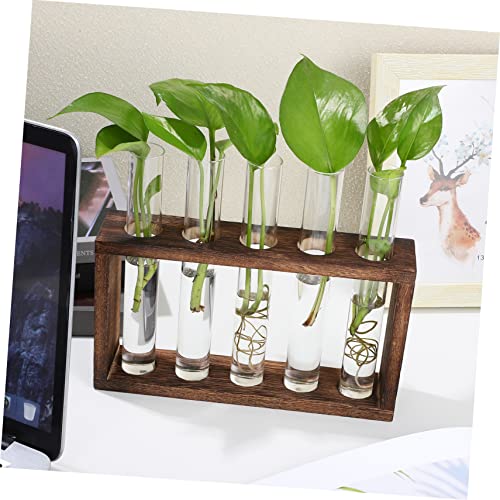 GALPADA Hanging Plant Propagation Station Set Hydroponic Glass Tubes with Cleaning Brush for Home and Office Decoration Wall-Mounted Plant Vase