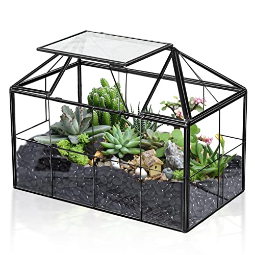 FerrisIsland Glass Aquarium Greenhouse Succulent Plant Aquarium Container | Glass Aquarium Greenhouse Succulent Plant Aquarium Aquaculture Container Desktop Decoration Garden DIY Kit(7.3"H) - size: 9.1"L x 7.3"H 5.4"W