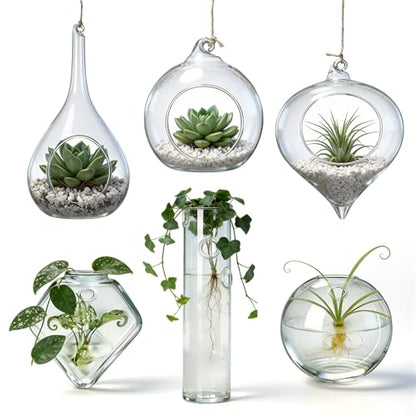 Zopeal 3 Pack Glass Hanging Planter Air Fern Holder Terrarium Plants Hanger Vase and 3 Pcs Wall Planter Propagation Stations Glass Flower Vase for Plant Lovers Gifts Home Christmas Hydroponic Plants