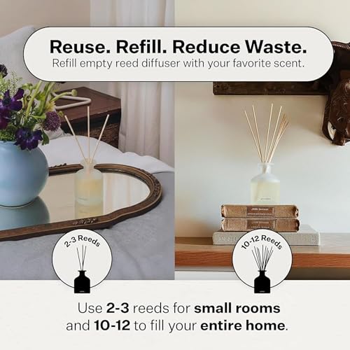 Apotheke Scented Reed Diffuser for Home, Canvas, 10 Reed Sticks | 10 Rattan Scent Sticks, Long-lasting Fragrance with Essential Oil Aromatherapy for Bedroom & Bathroom - 6.7 Fl Oz