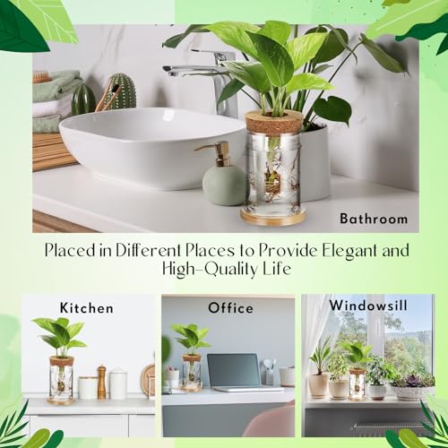 9 Packs Propagation Vases for Plants Plastic Plant Propagation Station with Hole Lid and Bamboo Stand Growing in Water Hydroponic Home Office Table Decoration(Classic Style) - style: Classic