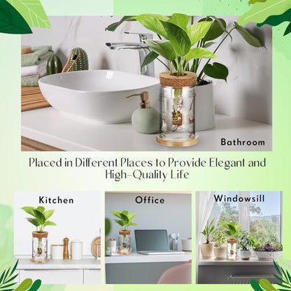 9 Packs Propagation Vases for Plants Plastic Plant Propagation Station with Hole Lid and Bamboo Stand Growing in Water Hydroponic Home Office Table Decoration(Classic Style) - style: Classic
