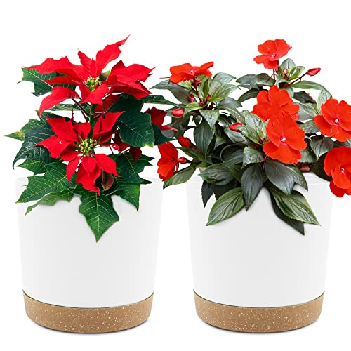QCQHDU 6.5 inch Plant Pot, 2 Pack Planters for Indoor Plants with Drainage Holes & Saucer, Outdoor Flower Pots Home Garden Modern Decor - color: White, size: 6.5 inch