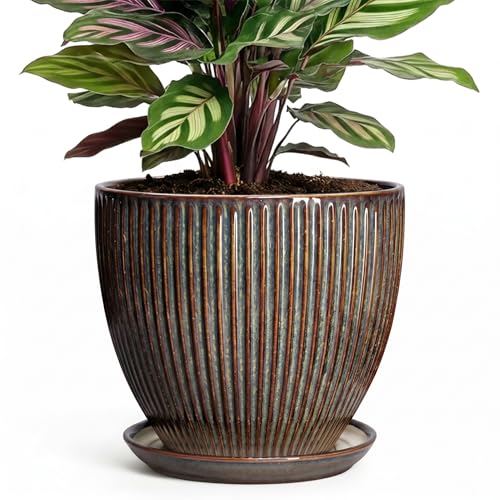 6 Inch Plant Pot, Ceramic Pots for Plants with Drainage Hole and Saucer, Decorative Planters for Indoor Plants, Small Flower Pots, Home Office Room Decor, Gifts for Plant Lovers, Retro Brown - size: 6 Inch, style: Retro Brown