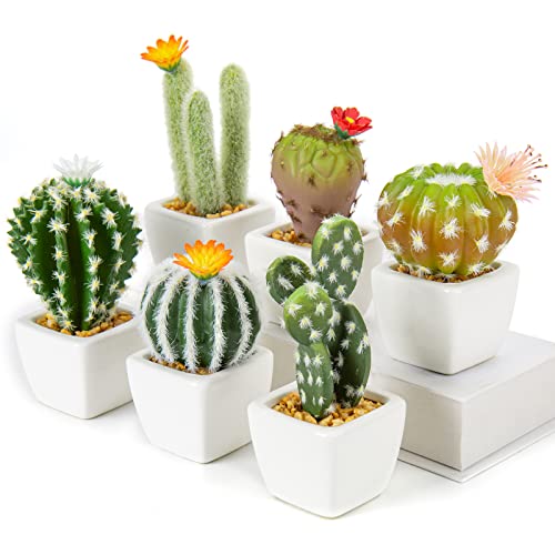 Oairse Mini Artificial Cactus Plants in Ceramic Pots 6 Pcs Potted Faux Succulents in Pots Fake Potted Plants Cactus Decor Small Artificial Plant for Home Decor Indoor Office Desk Tabletop Shelf - color: White