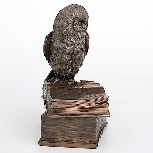 Veronese Design 7 1/8 Inch Owl Perched On Top of Books Cold Cast Resin Bronze Finish Trinket Stash Box