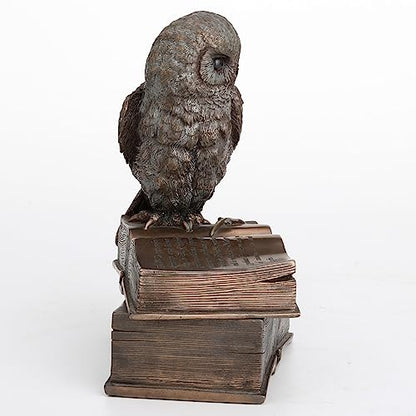 Veronese Design 7 1/8 Inch Owl Perched On Top of Books Cold Cast Resin Bronze Finish Trinket Stash Box