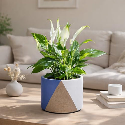 D'vine Dev 2-Pack Cachepot with Clear Pot, 6.5"low, Cobalt Canyon, 93-V-D-3 | Dual-Pot System, Root Visibility, Bottom Watering Support, Enhanced Drainage, Artistic Stoneware Design, Easy Plant Care - color: Cobalt Canyon, size: 6.5” Cachepot + 6“ Clear G