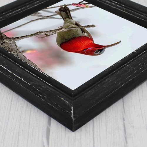 6x6 Picture Frame Made of Solid Wood High Definition Glass Rustic Antique Designs Small Photo Frame for Tabletop Display and Wall Mounting, Distress Black - color: Distress Black B, size: 6" X 6"