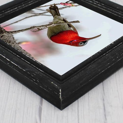 6x6 Picture Frame Made of Solid Wood High Definition Glass Rustic Antique Designs Small Photo Frame for Tabletop Display and Wall Mounting, Distress Black - color: Distress Black B, size: 6" X 6"