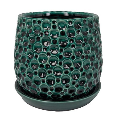 Aspen & Fig 6 Inch Green Indoor Ceramic Plant Pot with an Attached Saucer and Drainage Hole for House Plants, Herbs, Flowers, Succulent Plants, Snake Plants, Gifts for Mom