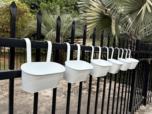 6 Pack 10" Metal Hanging Fence Planter Outdoor with Detachable Hooks, White | Removable hook, Drainage hole, Rustproof, For flowers / herbs / succulents, veggies, For railings / fences / balconies - color: White