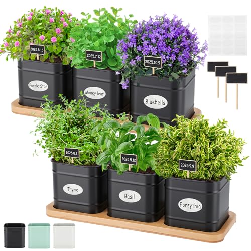 LemonRoad 6 Pcs Indoor Herb Planter Window Herb Pots for Kitchen with Drainage Hole and Bamboo Tray Farmhouse Metal Garden Planter Pot with DIY Label Mom Plant Gift(Black,Square) - color: Black