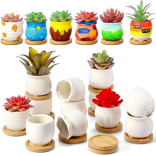 12 Pcs 2.5 Inch Mini Succulent Pots with Bamboo Tray White Ceramic Pots Color Your Own DIY Small Planters Containers for Flower Cactus with Drainage Hole for Plant Lover - size: 2.5 Inch