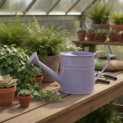 Long Spout Iron Watering Can for Indoor & Outdoor Plants, Durable Metal Design with Precise Flow Control (1 Pack) - color: Purple