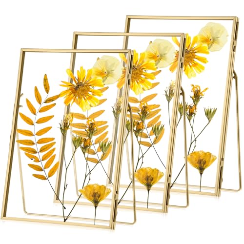 3 Pack Glass Pressed Flower Frame Handmade, 5 x 7 floating Picture Frames for Pressed Flowers, Brass Double Glass for Tabletop Display, Home Office Plant Specimen, Photos(Gold) - color: Gold, size: 5 x 7 Inches