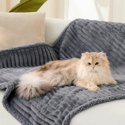 Waterproof Calming Cat Blanket for Indoor Cats, Noiseless Soft Plush Dog Blanket for Pets, 500GSM Thick Faux Fur Pet Throw, Couch Furniture Protector for Puppy, Charcoal Grey, 25x30IN - color: Charcoal, size: 25"x30"