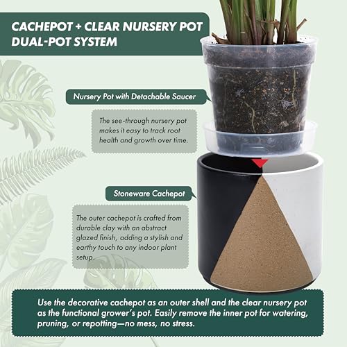D'vine Dev 2-Pack Cachepot with Clear Pot, 6.5 in, Midnight Mesa, 93-V-C-2 | Dual-Pot System, Root Visibility, Bottom Watering Support, Enhanced Drainage, Artistic Stoneware Design, Easy Plant Care - color: Midnight Mesa, size: 6.5” Cachepot + 6“ Clear Gr