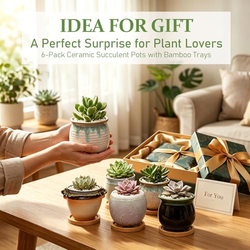 3.5 Inch Succulent Pot with Drainage,Planting/Flower Pots | Small Planter Pot for Mini Plant Ceramic Flowing Glaze Base Serial Set with Holes,Flower Pots with Tray for Home - size: 3.5inch-6pack