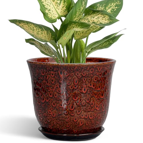 Ceramic Plant Pots - 5.6 Inch Plant Pot Indoor Outdoor, Small Planter with Drainage Hole and Saucer, Round Planter, Orchid Succulent Pots, Garden Room Decor, Gardening Gifts for Women, Red - color: Leopard Glaze Red, size: 6 Inch