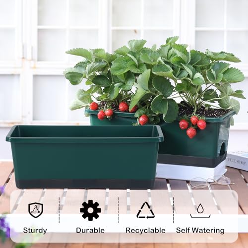 Window Box Planter 8 Pcs, 17 Inches Rectangle Flower Pots with Drainage Holes & Trays, Vegetable Planters for Windowsill Patio Garden Balcony Home Indoor Outdoor (Dark Green, 16 * 7 * 6 inch) - color: Dark Green
