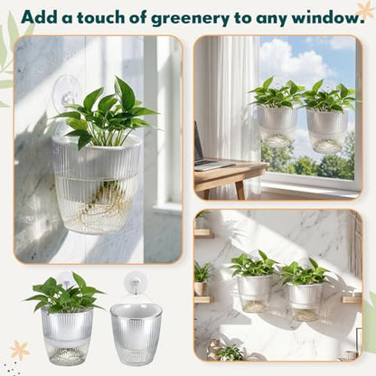 Hushee 4 Set Window Hanging Propagation Stations with Suction Cups Plastic Propagation Vases Propagated Plant Holder Wall Pots for Indoor Plants Office Home Garden Decoration Lover Gift (Clear) - style: Clear