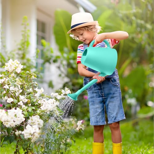 ZXJ Plant Watering Cans for Indoor and Outdoor Home Garden Plants - with Long Spout - SkyBlue - 1/2 Gallon - color: Skyblue