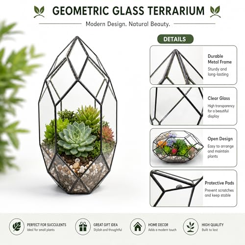 Ferris Island Handmade Glass Home Geometric Glass Succulent Flowerpot | Ideal for succulents, air plants, moss, mini ferns, and DIY terrarium arrangements with natural decorative accents. - size: 5.9"L x 11"W x 6.5"H