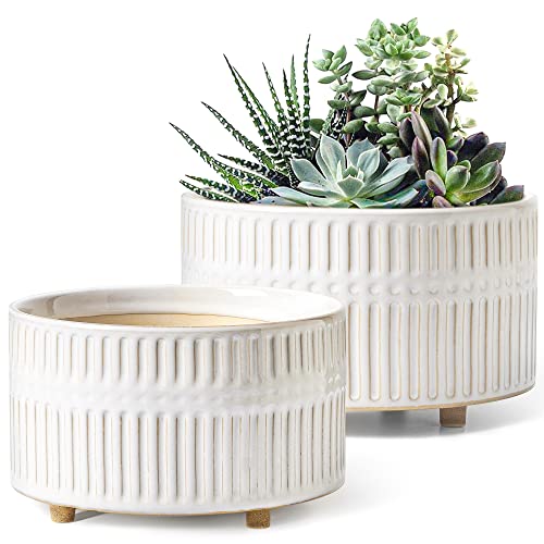 LE TAUCI Succulent Planters, 6.5+8 Inch Ceramic Indoor Plant Pot with Drainage Hole, Shallow Round Succulent Pots, Set of 2, Reactive Glaze White - color: Reactive Glaze White