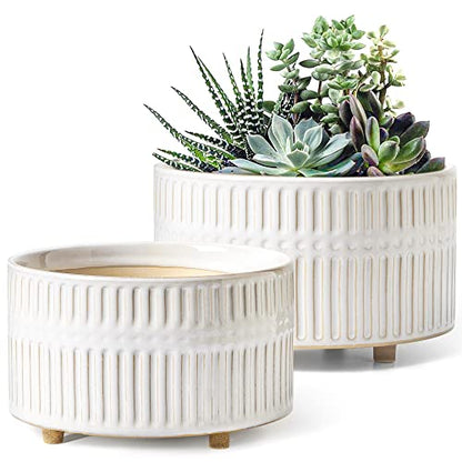 LE TAUCI Succulent Planters, 6.5+8 Inch Ceramic Indoor Plant Pot with Drainage Hole, Shallow Round Succulent Pots, Set of 2, Reactive Glaze White - color: Reactive Glaze White