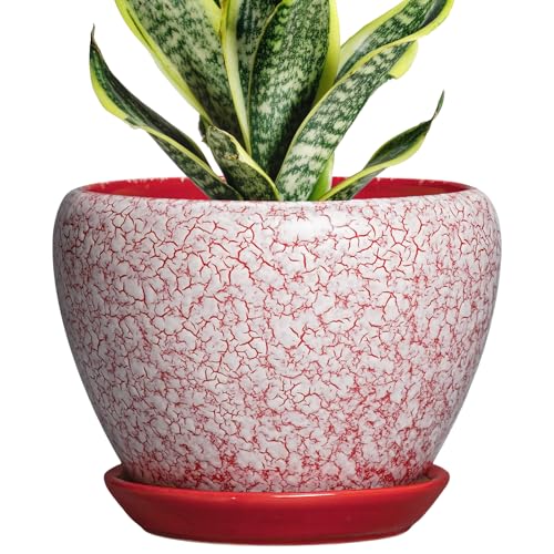 Ceramic Plant Pots - 6 Inch Pots for Plants Indoor Outdoor, Modern Planter with Drainage Hole and Tray, Round Decorative Flower Pot, Home Office Decor, House Warming Gifts, Crackle Red - color: Crackle Red, size: 6 Inch