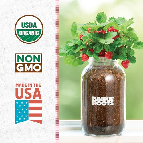 Back to The Roots Organic Strawberry Grow Kit — Grows Year Round, Includes Everything Needed for Planting - style: Strawberry