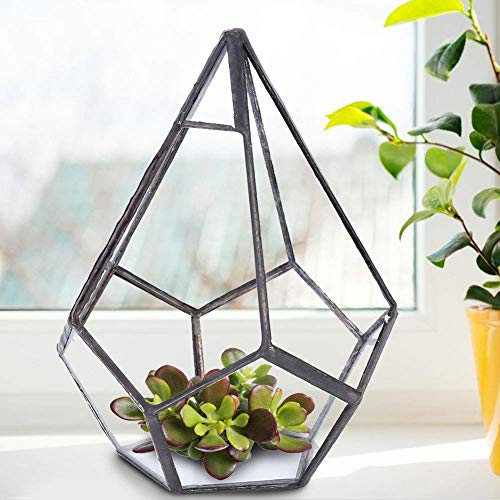 TOPINCN Glass Terrarium Stylish Geometric Shape Planter Succulent Holder Plants Container Flower Pot Tabletop Landscape Decor
