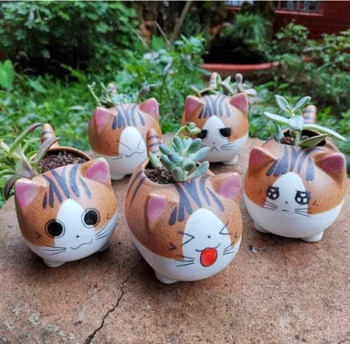 Set of 5 Mini Cute Cat Ceramic Succulent Pots Planters with Drainage Hole | Handmade Cartoon Pots Small Plants Animal Lovers Home and Office Desk Decoration