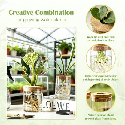Glass Plant Propagation Stations for Plants – Set of 4 | Hydroponic Pots for Flower Arrangements,Plant Cuttings,Home & Office Decor–Desktop Vases for Living Room,Bedroom