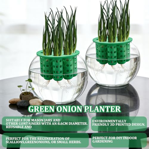 2 Pack 9 Hole Green Onion Planter Seed Sprouting Kit Scallion Planter Compatible with Regular Mouth Mason Jar for Windowsill Garden, Hydroponics, and Propagation Hydroponics Enthusiasts(Green,White)