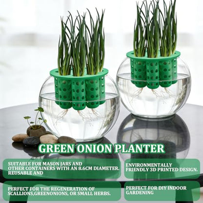2 Pack 9 Hole Green Onion Planter Seed Sprouting Kit Scallion Planter Compatible with Regular Mouth Mason Jar for Windowsill Garden, Hydroponics, and Propagation Hydroponics Enthusiasts(Green,White)