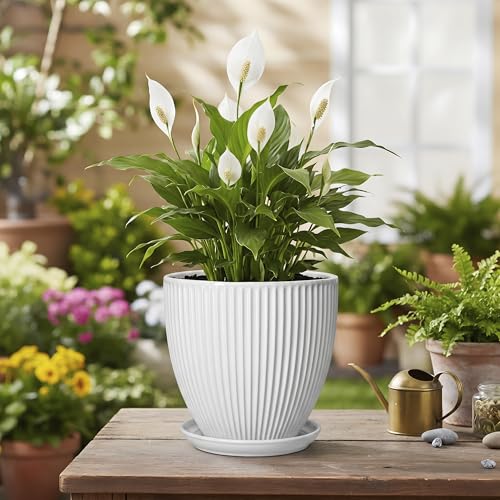 Ceramic Pots for Plants, 6 Inch Plant Pot with Drainage Hole and Saucer, Round Ceramic Flower Pots for Indoor Plants, Modern Small Succulent Planter, Room Home Decor, Plant Lover Gifts, White - size: 6 Inch, style: White