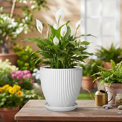 Ceramic Pots for Plants, 6 Inch Plant Pot with Drainage Hole and Saucer, Round Ceramic Flower Pots for Indoor Plants, Modern Small Succulent Planter, Room Home Decor, Plant Lover Gifts, White - size: 6 Inch, style: White