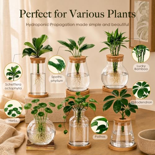6 Pcs Plant Propagation Station Set, Glass Propagation Vases for Plants with Wooden Lids & Bamboo Stands, Hydroponic Vase Jars for Plant Cuttings, Terrarium Planters for Desk, Home Office Decor