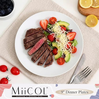 Miicol Ceramic Dinner Plates Set of 6, White Dessert Plates 9 Inch, Modern Round Porcelain Dishes for Steak, Pasta, Salad, Fruit, Microwave & Dishwasher Safe, Stackable - color: White 9 Inch