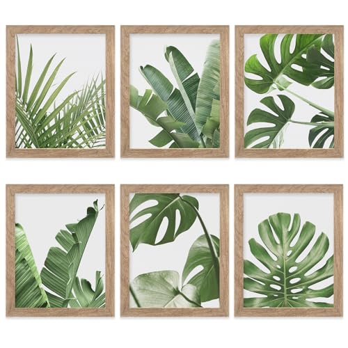 HoozGee Framed Botanical Wall Art Prints Set of 6 Tropical Leaves Plant Leaf Canvas Print Wall Decor Green Wall Art Posters Bedroom Living Room Decor (Tropical Leaf Art, 8"x10" FRAMED)