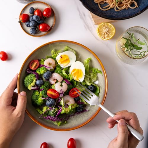 LERATIO Large Pasta Bowls,38oz Ceramic Pasta Bowls,9.0" Reactive Glaze Pasta Bowl Set of 6,Microwave & Dishwasher,Oven Safe,Wide Serving Bowls for Salad,Pasta,Fruit,Scratch Resistant-Colorful | Reactive Glaze Serving Bowls Set,Wide Bowl for Pasta,Salad,Fr