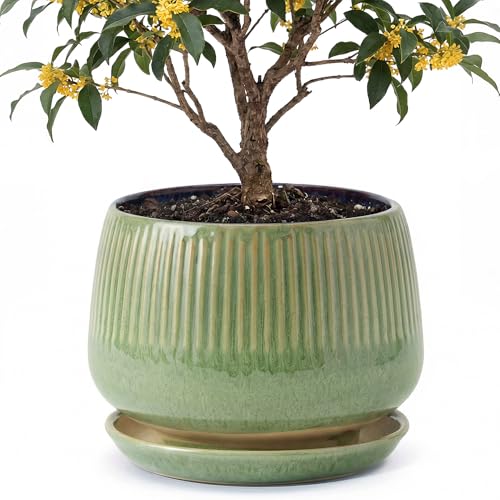 10.3 Inch Ceramic Planter with Saucer,Modern Garden Pots with Drainage Hole Mesh Net, for Indoor Outdoor Use (Crackle Green) - color: Crackle Green, size: 10.3 Inch