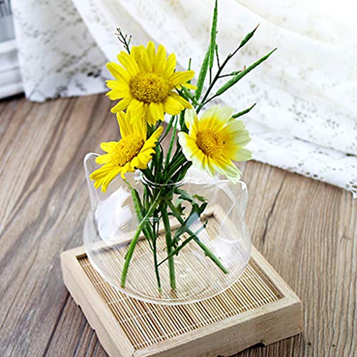 Cat Glass Vases Clear Flower Plant Terrarium Container Hanging Vase Wedding Decor Garden Ornaments Hanging Planter