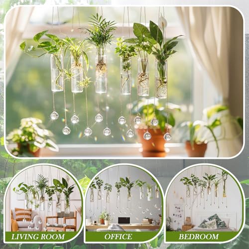Hushee 6 Pcs Hanging Propagation Stations with Crystal Suncatcher Glass Hanging Wall Planters Indoor Plants Hydroponic Tubes for Plants Flowers Windows Home Decoration