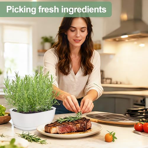 Set of 8 White Oval Shallow Herb Garden Planters with Drainage Holes and Trays (8.66 Inch) Plant Pots for Herbs Basil Orchids Succulents, Modern Herb Garden Planter for Indoor/Outdoor Plants - size: 8.66 x 6.1 x 3.39-inch
