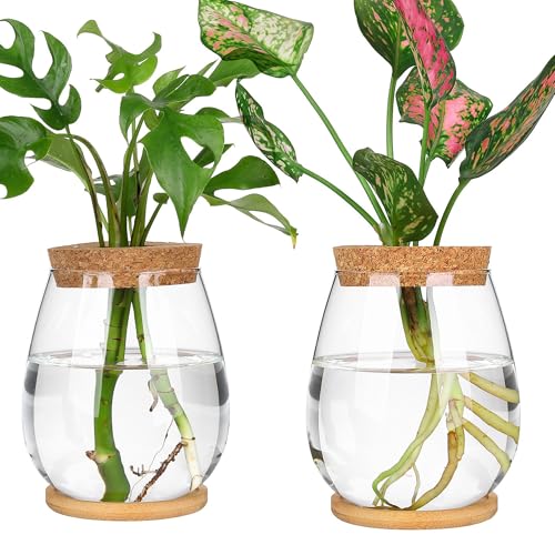 Plant Propagation Station,2 Pcs Glass Vases with Wooden Stand & Lid | Plant Terrarium for Propagating Hydroponic,Cork Anti-evaporation,Propagation Jars,Home Kitchen Decor,Gifts for Plant Lovers - size: 4.2" L x 4.2" W x 5.2"H