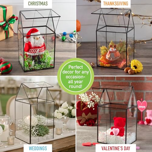 D'Eco Large Glass Plant Terrarium, Centerpiece & Wedding Letterbox Display | Tabletop Geometric Planter Terrarium, Fill with Succulents, Moss, Air Plants, Ferns, Home & Office Decor, Dims:6x5x11"