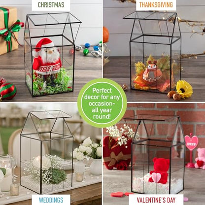 D'Eco Large Glass Plant Terrarium, Centerpiece & Wedding Letterbox Display | Tabletop Geometric Planter Terrarium, Fill with Succulents, Moss, Air Plants, Ferns, Home & Office Decor, Dims:6x5x11"